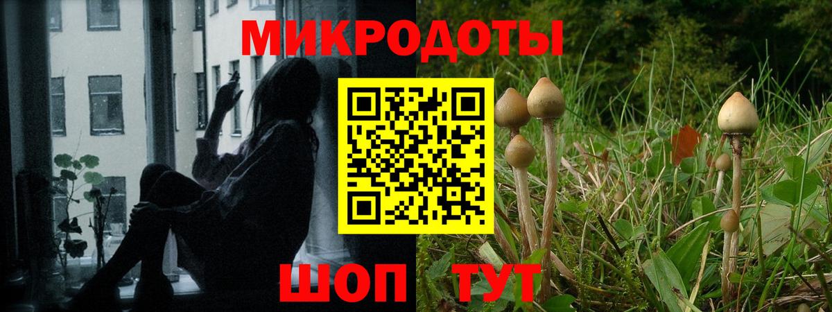 Псилоцибиновые грибы Psilocybe  Вход с VPN  Клин 